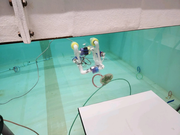 Photo of E79 underwater robot traversing an underwater environment.